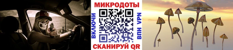 Галлюциногенные грибы Psilocybine cubensis Невельск